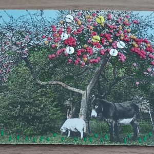 Photos et cartes postales brodées