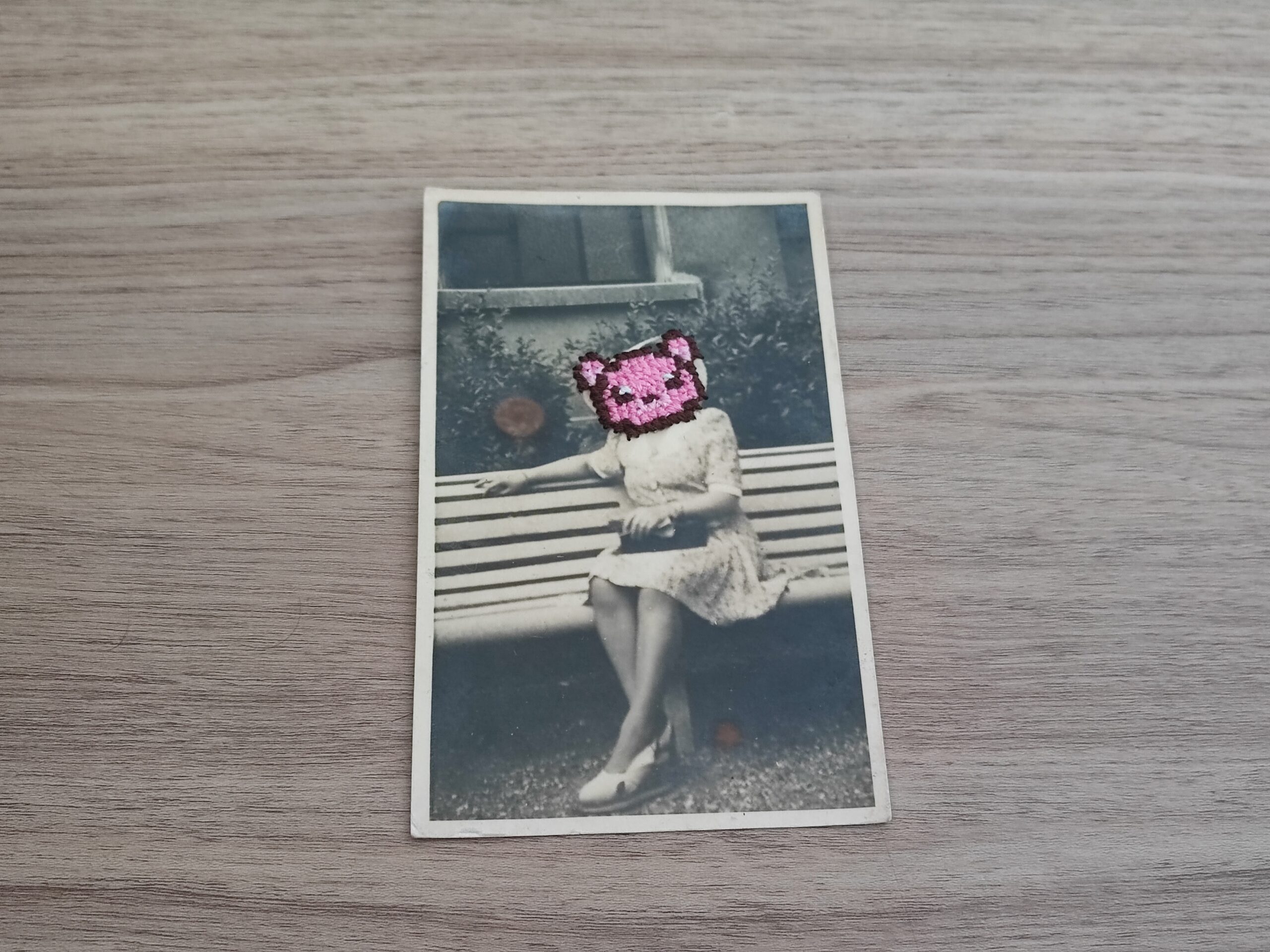 Broderie au point de croix sur photographie "L'ourse rose"